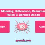 Cocoon vs Cacoon