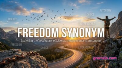 Freedom Synonym