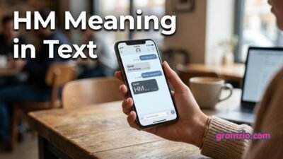 HM Meaning in Text