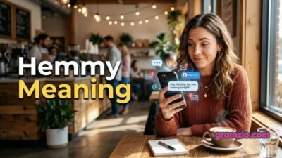 Hemmy Meaning