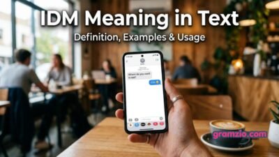 IDM Meaning in Text