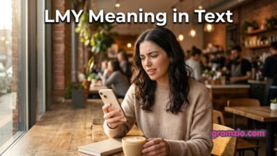 LMY Meaning in Text