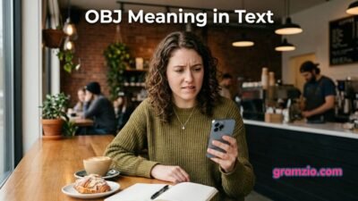 OBJ Meaning in Text