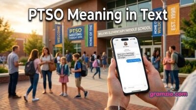 PTSO Meaning in Text