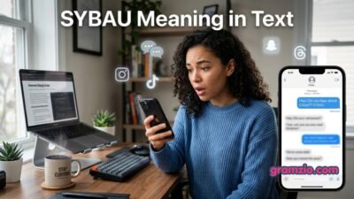 SYBAU Meaning in Text