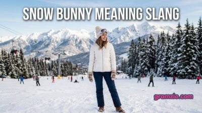 Snow Bunny Meaning Slang