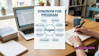 Synonym for Program