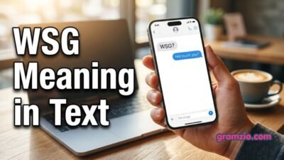 WSG Meaning in Text