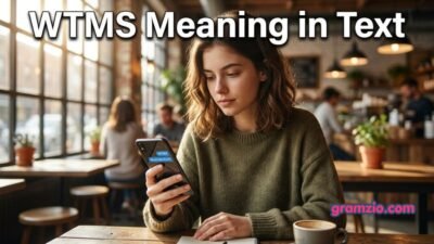 WTMS Meaning in Text