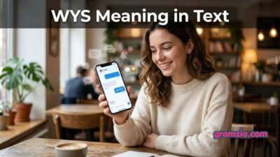 WYS Meaning in Text