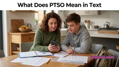 What Does PTSO Mean in Text
