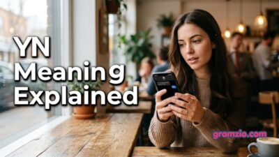 YN Meaning Explained