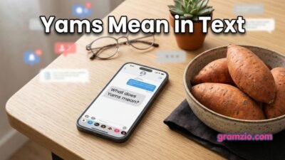 Yams Mean in Text